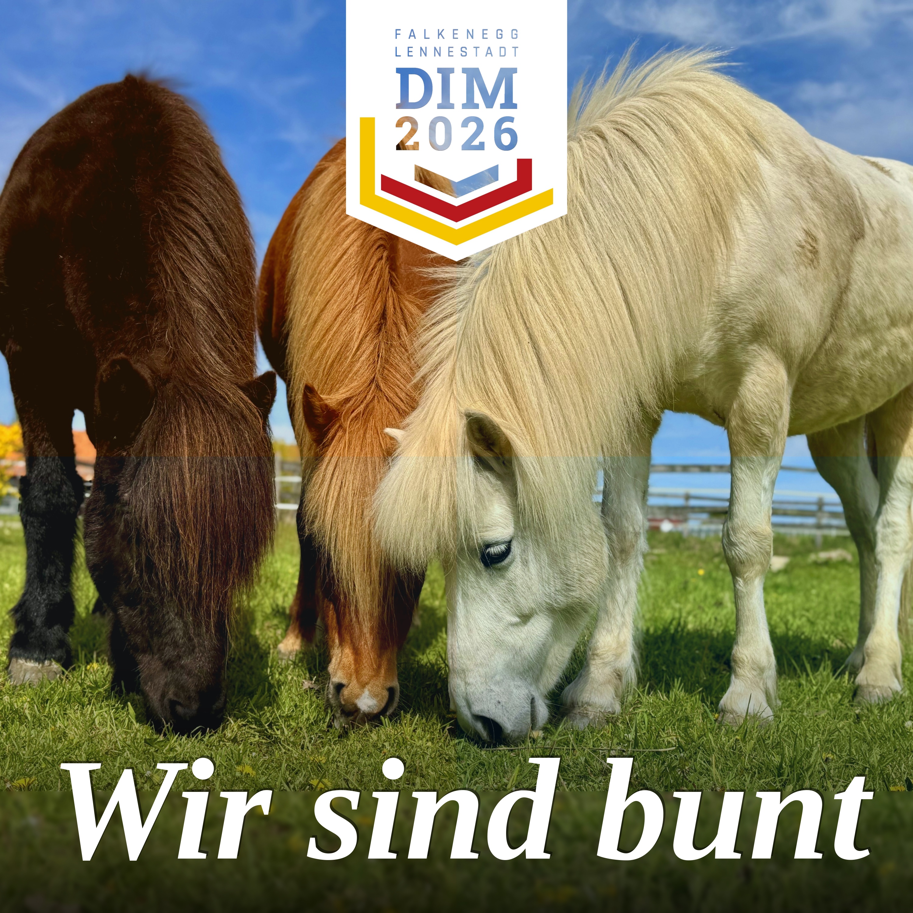 Cover Wir sind bunt